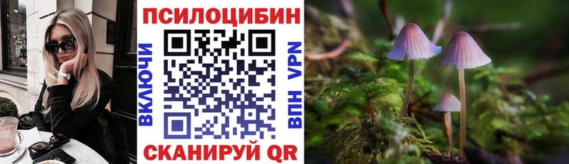 нарко площадка какой сайт  Ужур  Псилоцибиновые грибы Psilocybe 